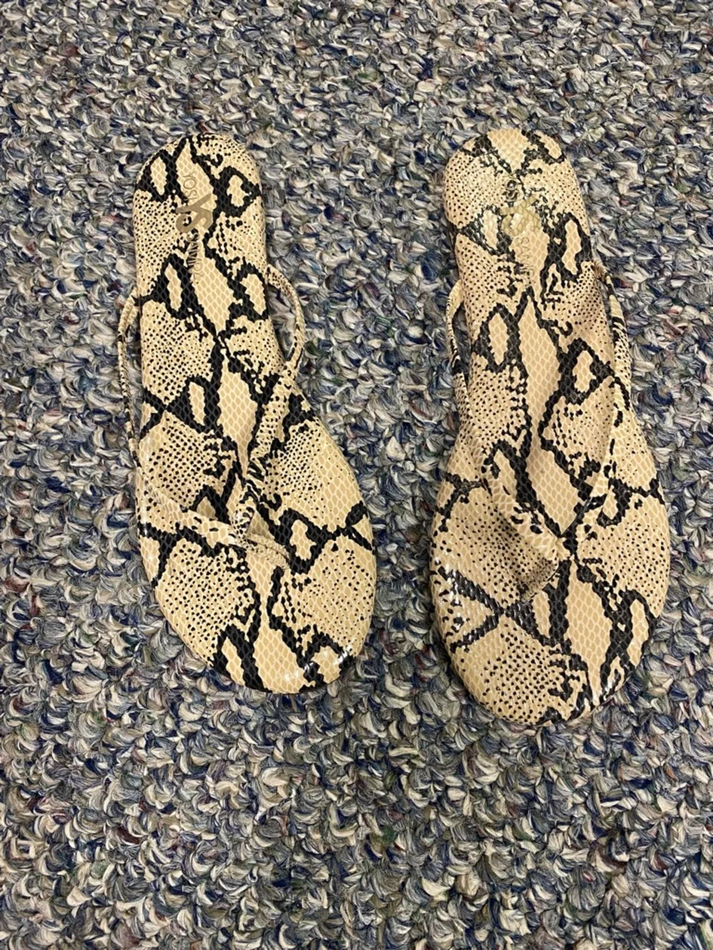 Yosi Samra Snake Print Flip Flop Sandals - Beige & Black - Picture 4 of 5